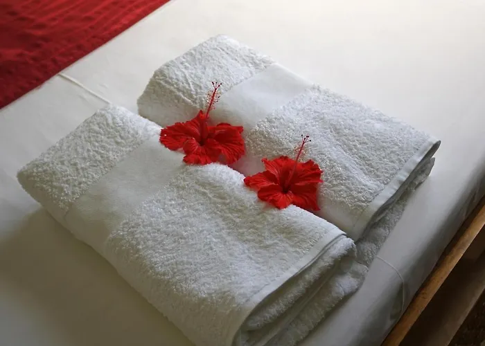 Zeph Self Catering *
